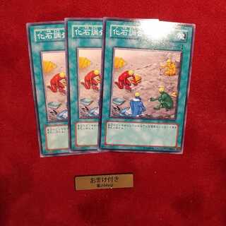 化石調査 ノーマル