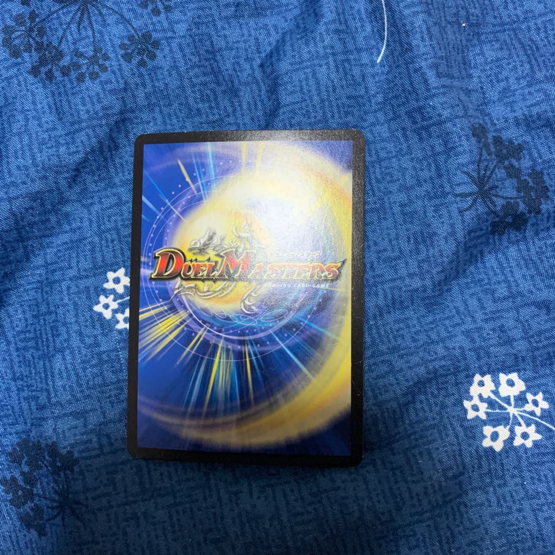 煌メク聖壁 灰瞳