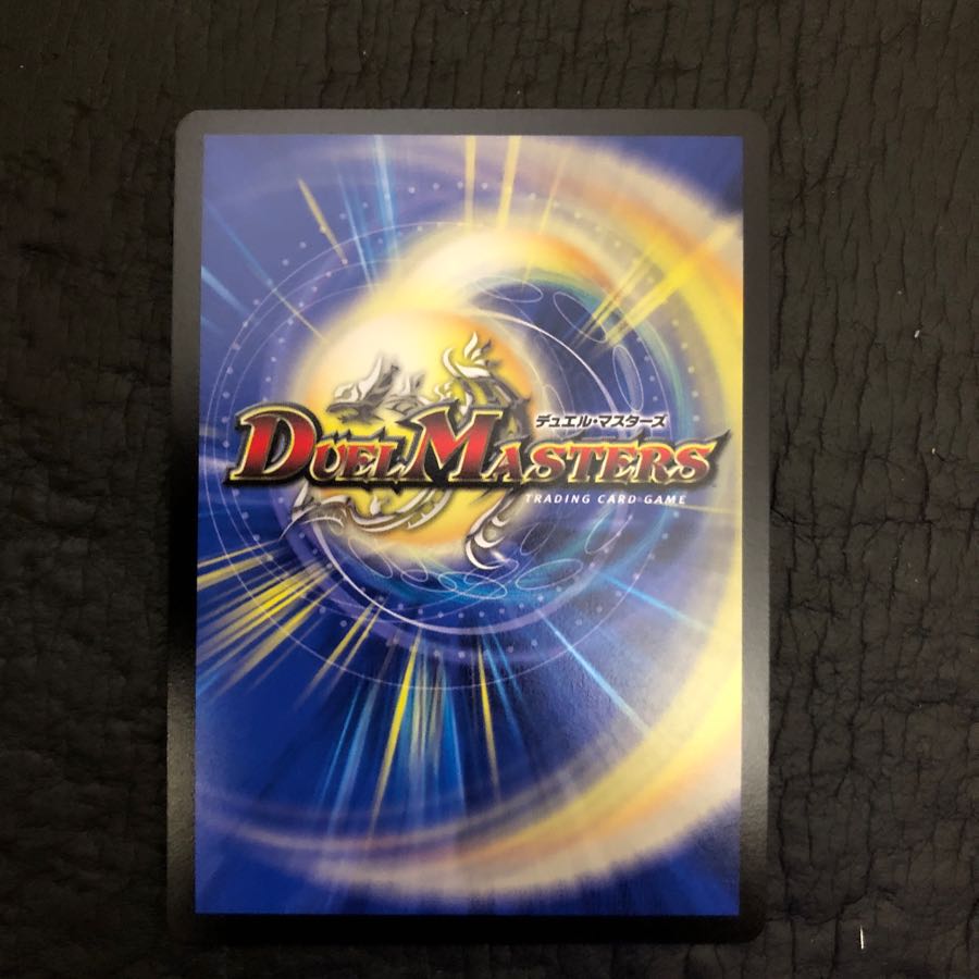 轟牙忍 ハヤブサリュウ