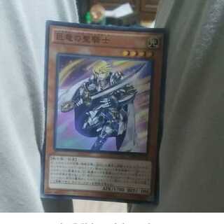 M-mg 30-17 Paladin of Felgrand used super rare