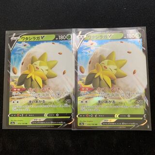 ワタシラガV 2枚セット
