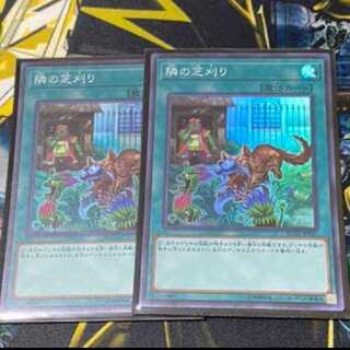 Lowest Price Super Set of 2 That Grass Looks Greener