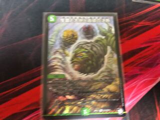 デュエルマスターズ 生命と大地と轟破の決断