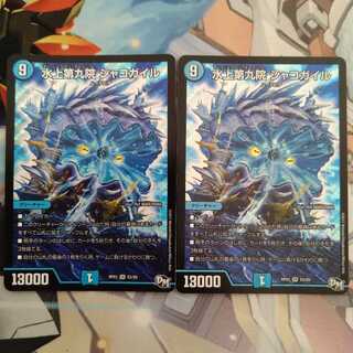 水上第九院 シャコガイル