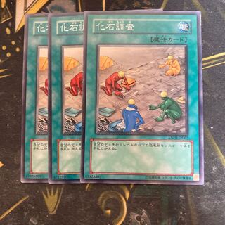 マドレース6229化石調査 ノーマル