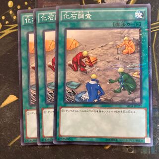 マドレース6231化石調査 パラレル ノーマル