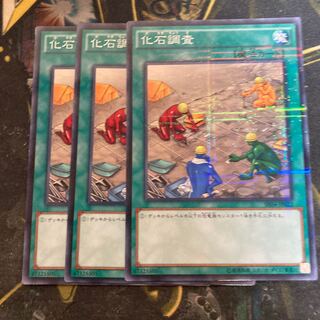 マドレース6233化石調査 パラレル ノーマル