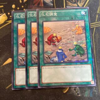 マドレース6234化石調査 パラレル ノーマル