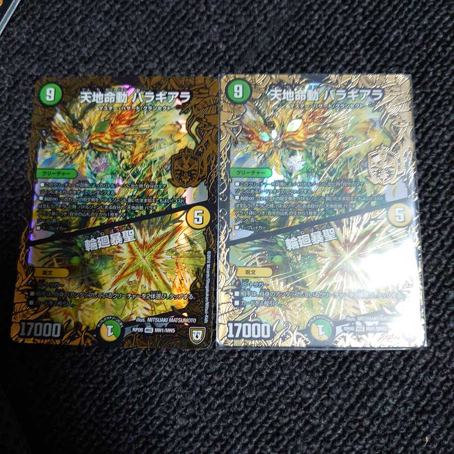 天地命動 バラギアラ|輪廻暴聖