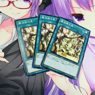 魔法族の里【N】