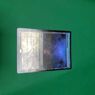 MTG 無声開拓地　 foil 英語