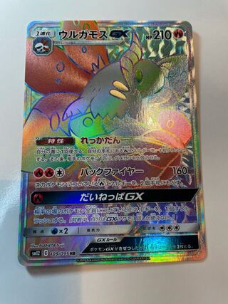 prof様専用☆ ウルガモス・モルフォン