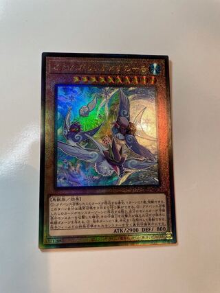 8\4.5限り！！ふわんだりぃず×すのーる PSE