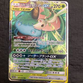 フシギバナ＆ツタージャGX