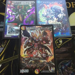 リンネビーナス アクアン・メルカトール カツキングjr