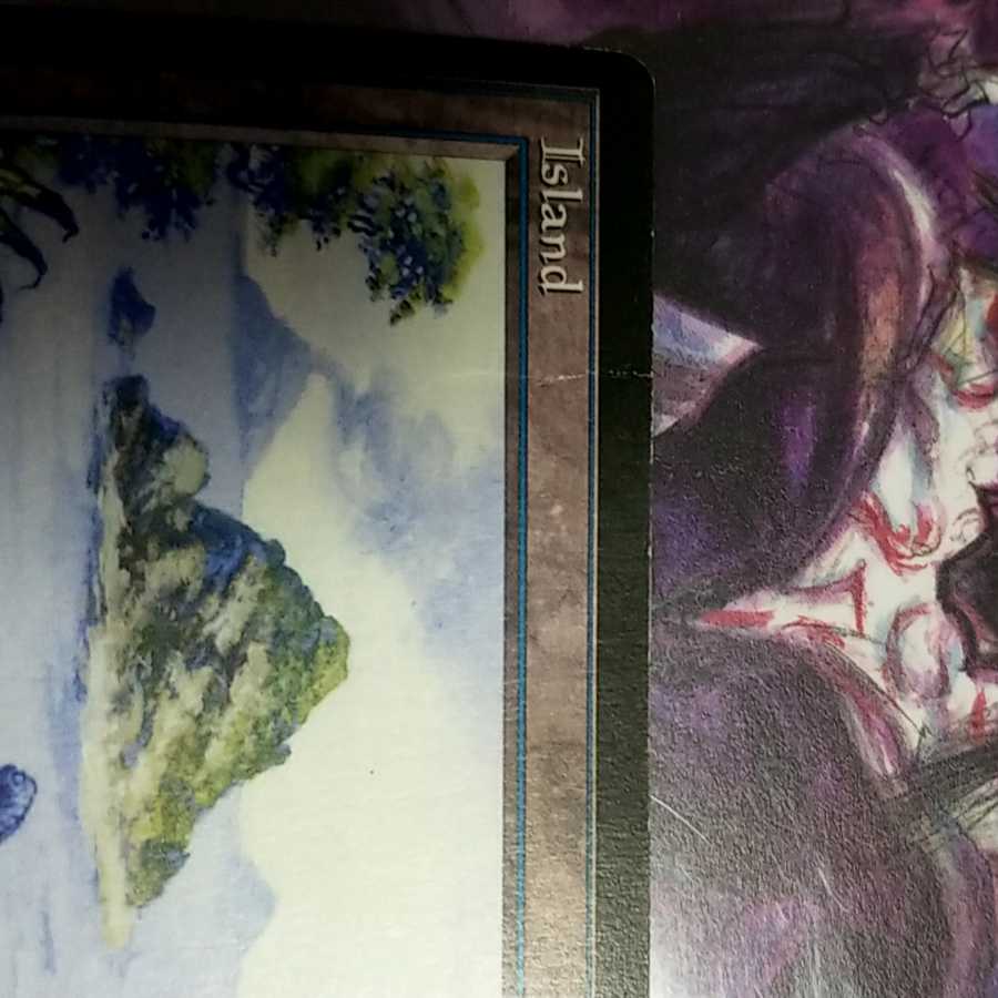 MTG　初代アリーナランド　沼　5枚セット 沼/Swamp》[初代アリーナランド] 土地 | 日本最大級 MTG通販