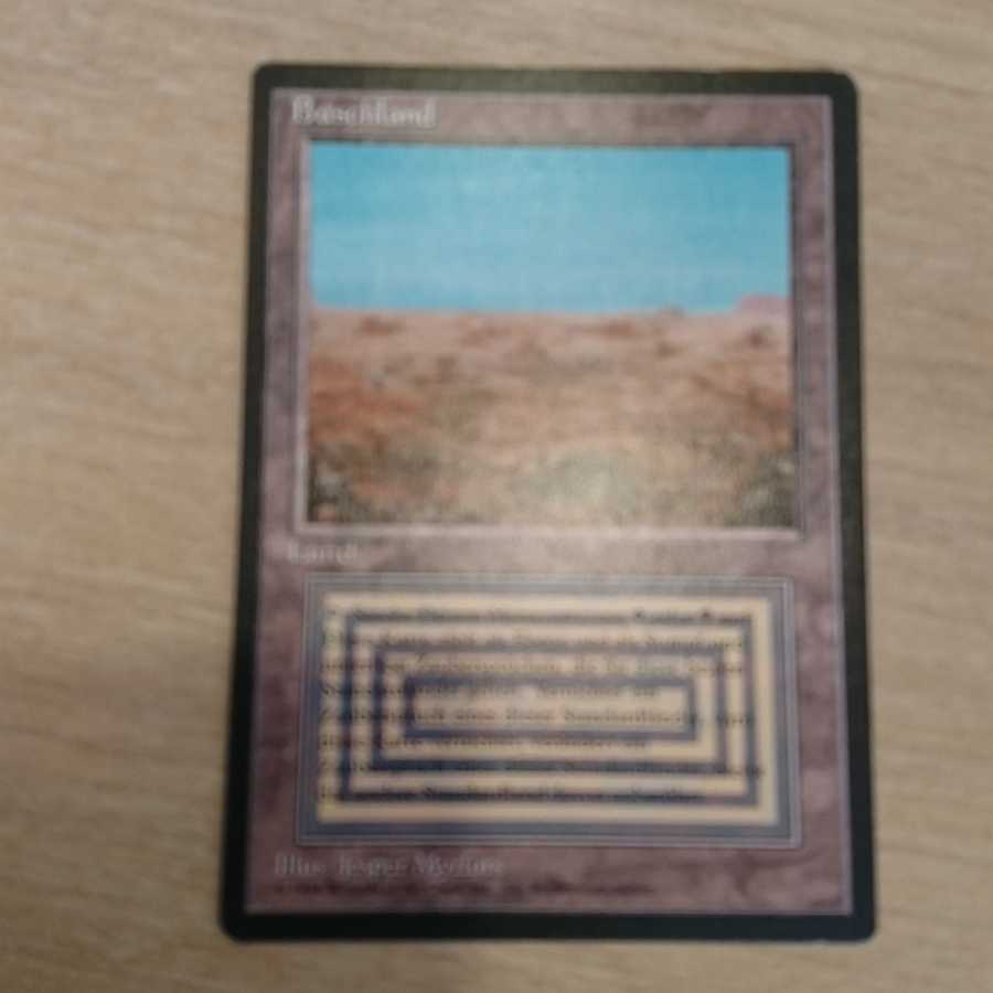 mtg Scrubland 黒枠 ドイツ語