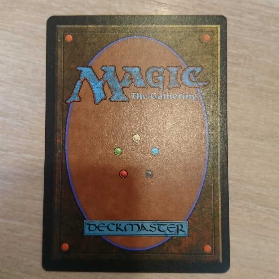 mtg Scrubland 黒枠 ドイツ語