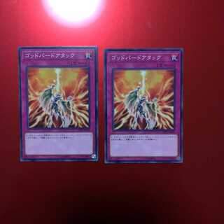 【同時購入割引あり】ゴッドバードアタック