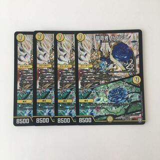 D29 Ryusosoja Zebulae｜Roses Snubbullum SR 4 DUEMA TREATMENT