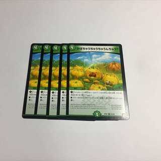 かぼちゃうちゃうちゃうんちゃう？　5枚