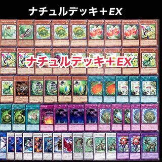 遊戯王 - 山屋　即日発送　ナチュルデッキ　構築済みデッキ　まとめ売り ナチュル・マンティス ナチュル・アントジョー ナチュル・ローズウィップ ナチュルの神星樹 ナチュル・エクストリオ 遊戯王 - 山屋 即日発送 ナチュルデッキ 構築済みデッキ まとめ