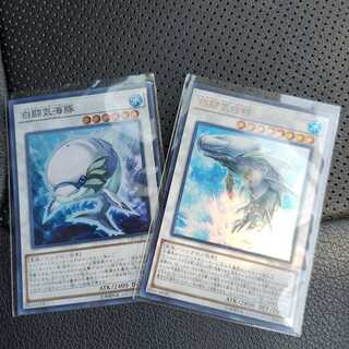白闘気白鯨　 白闘気海豚　ウルトラセット