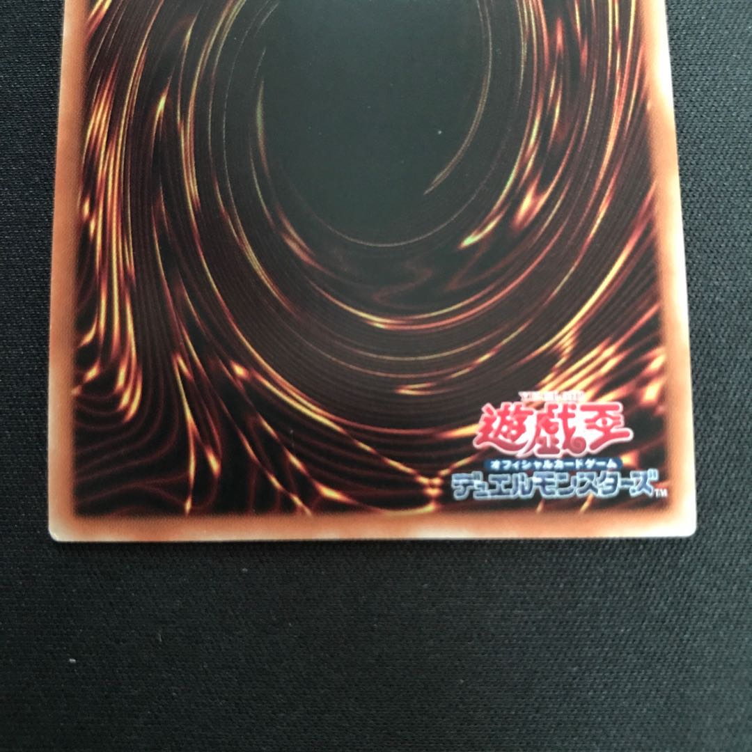 化石調査 スーパーレア