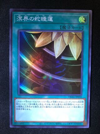 遊戯王　溟界の蛇睡蓮　SR