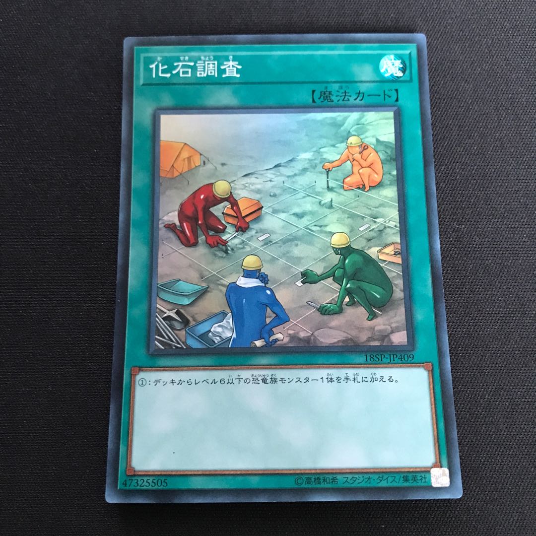 化石調査 スーパーレア