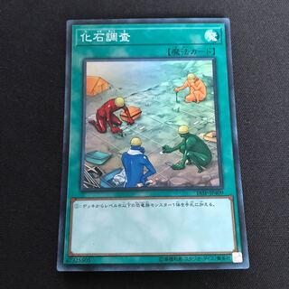 化石調査 スーパーレア