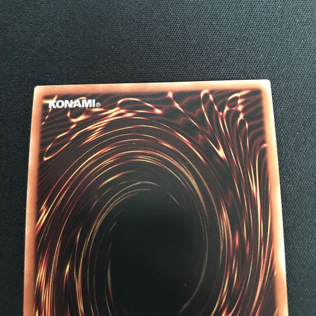 化石調査 スーパーレア