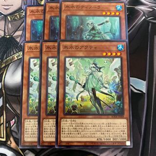 氷水 ノーマル 3枚セット