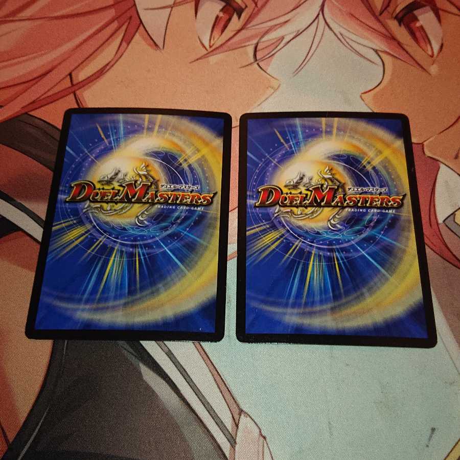 武家類武士目 ステージュラ