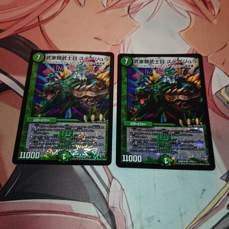 武家類武士目 ステージュラ