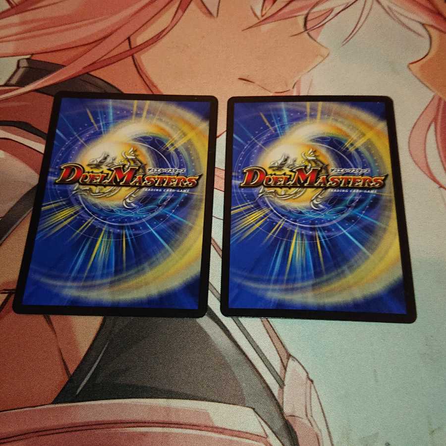 武家類武士目 ステージュラ