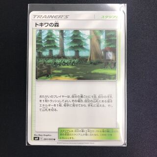 トキワの森 sm9c