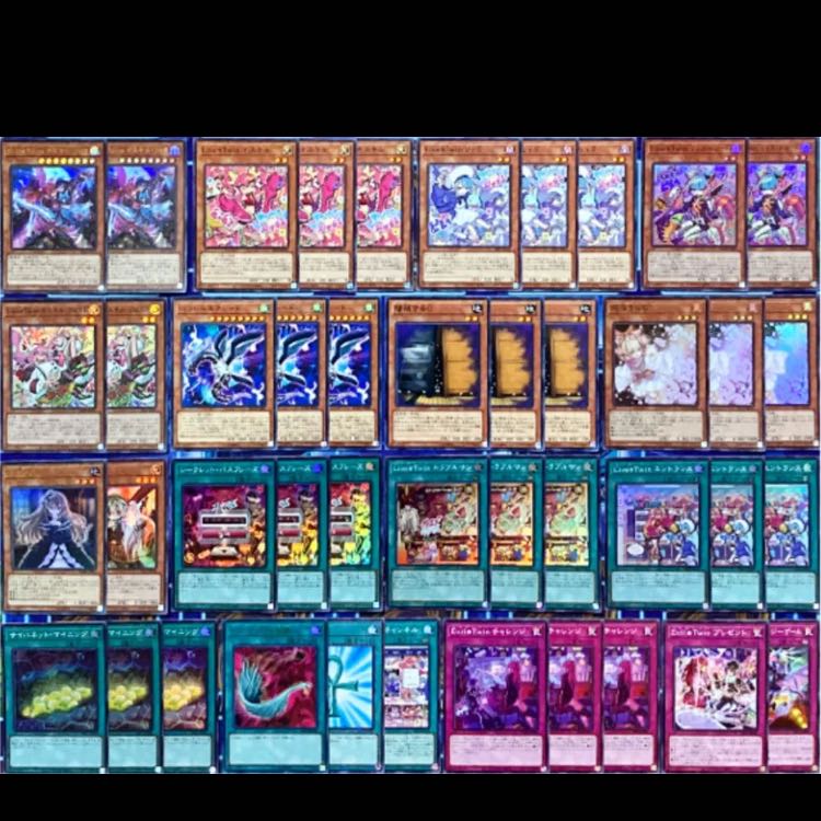 遊戯王 イビルツイン デッキ ガチ構築 未使用スリーブ付き