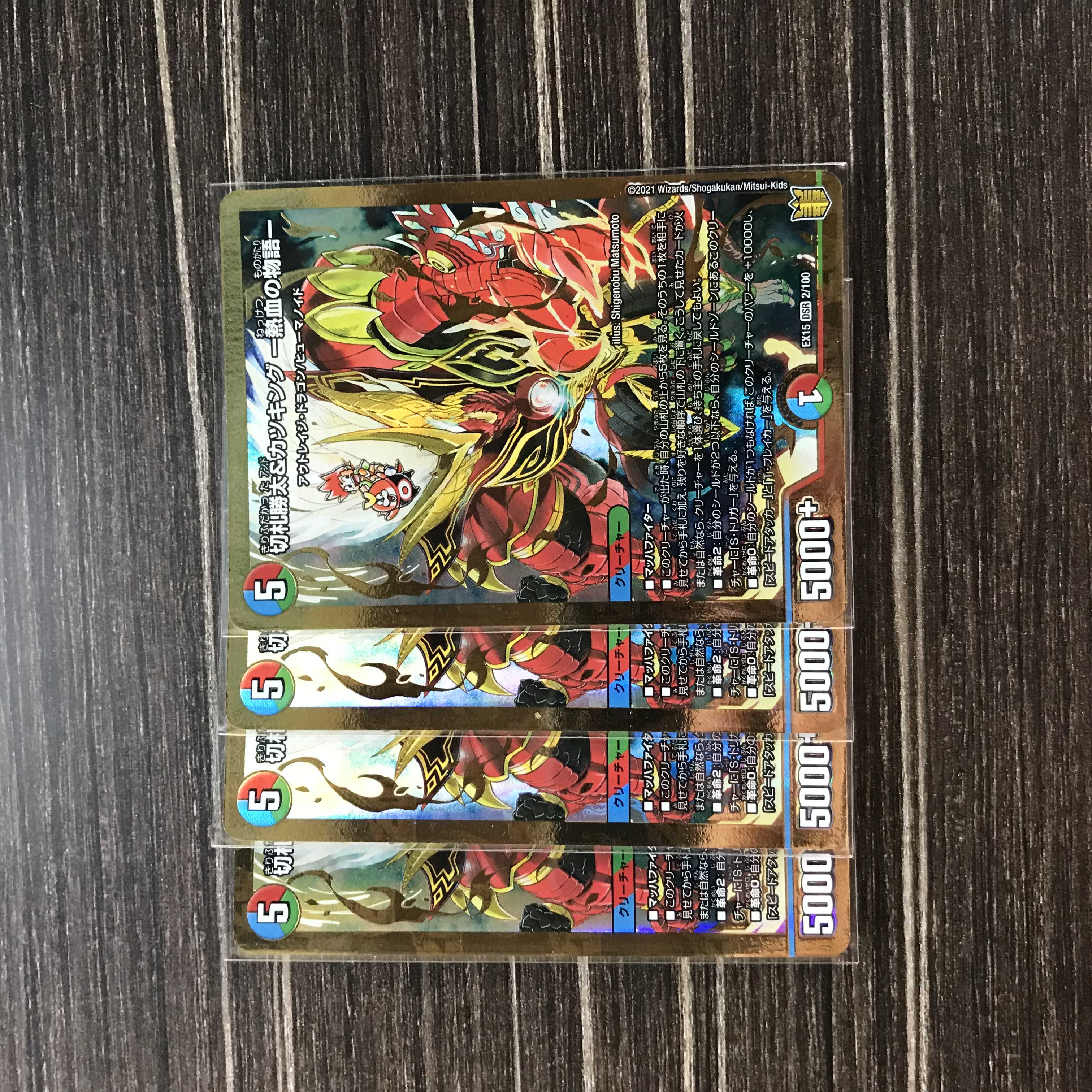 切札勝太&カツキング -熱血の物語- DSR