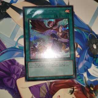 バードコール　シク 1枚