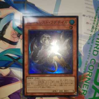 わぐている 1枚