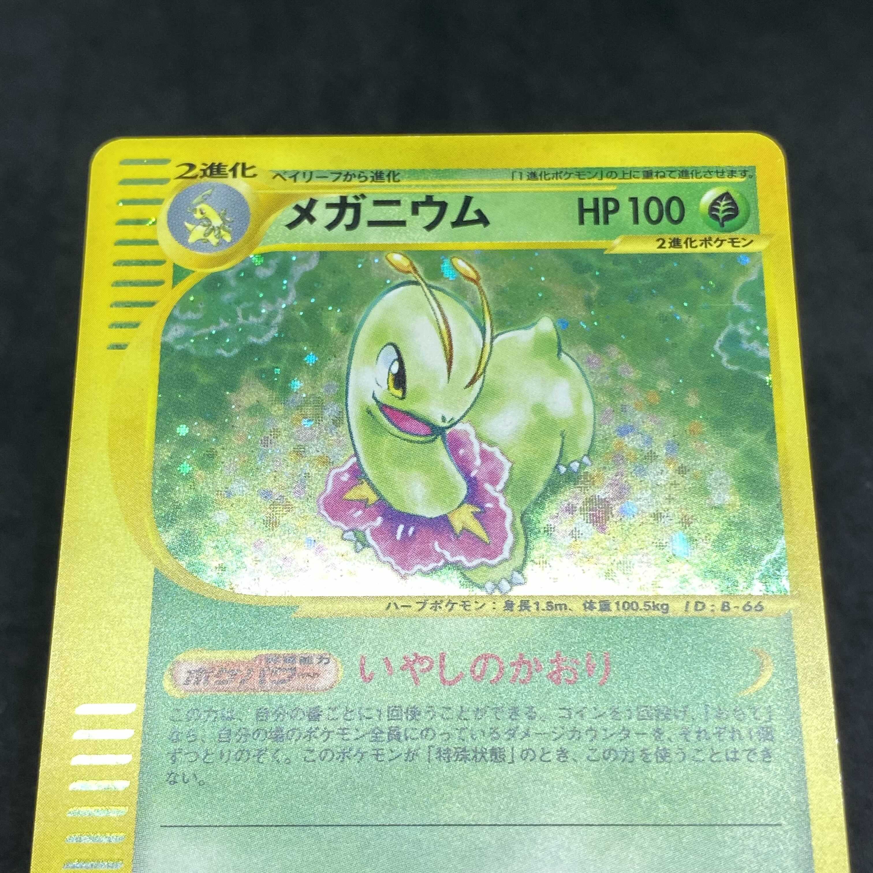 ポケモンカードe メガニウム 1st edition