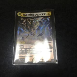 帰還の精霊シュマヌマージ VR