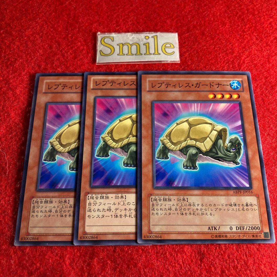 レプティレス・ガードナー#955