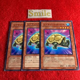 レプティレス・ガードナー#955