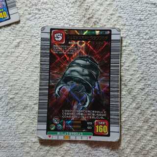 Alcides giant flatback stag beetle Insect King