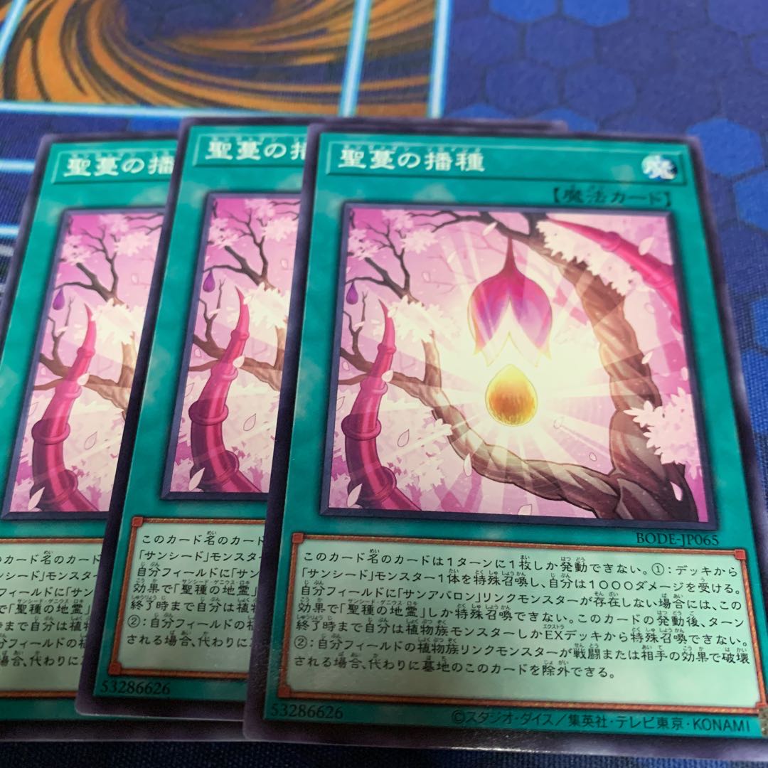 Sunvine Sowing Normal