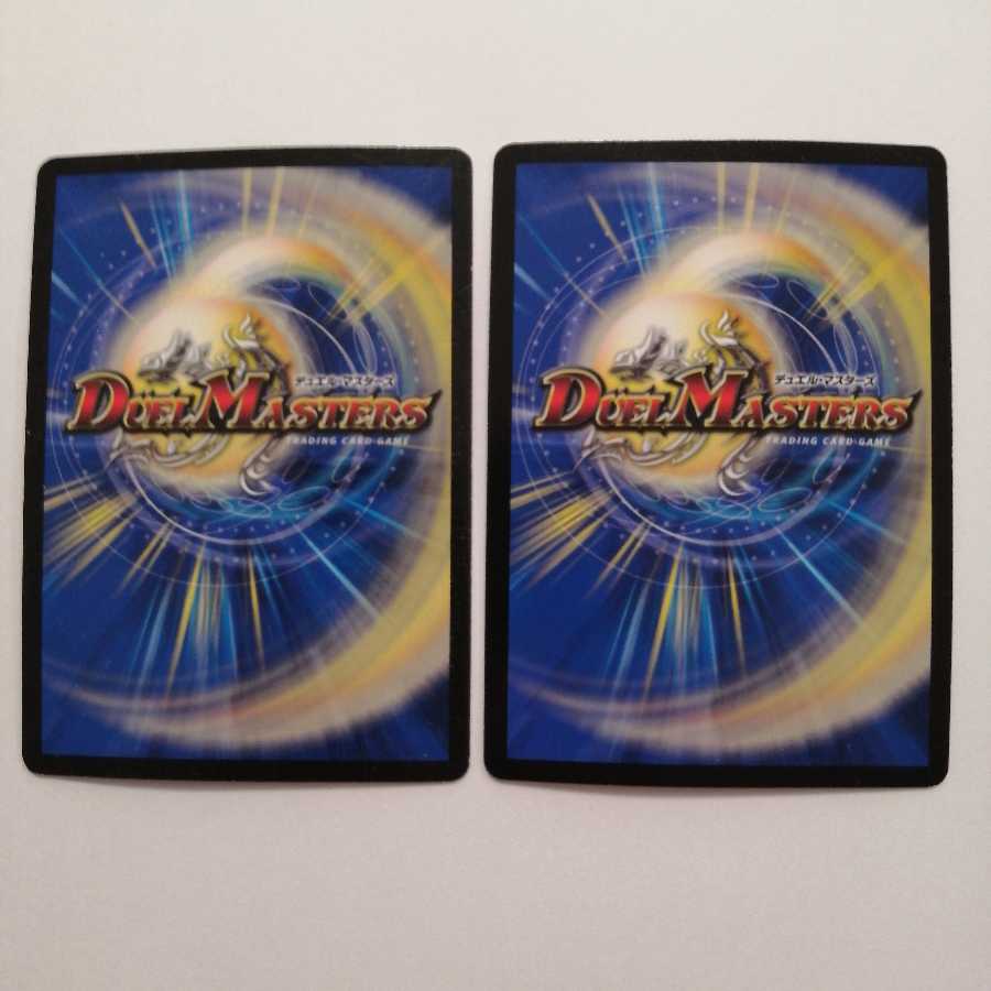 煌龍 サッヴァーク