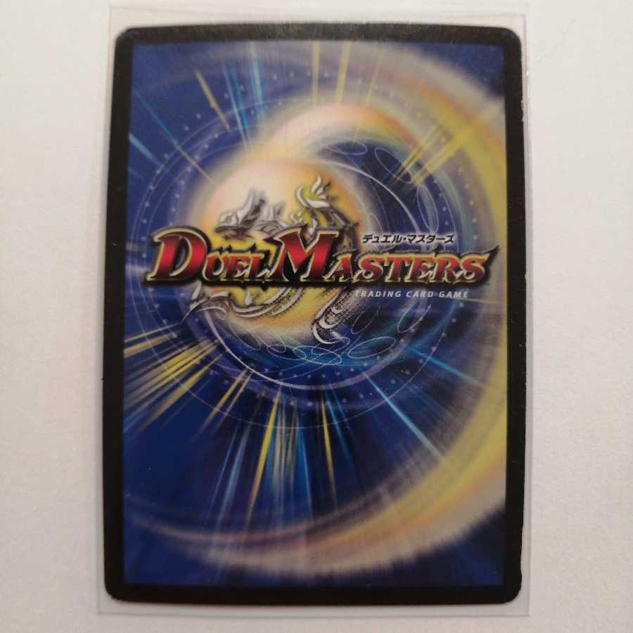 煌龍 サッヴァーク シークレット3