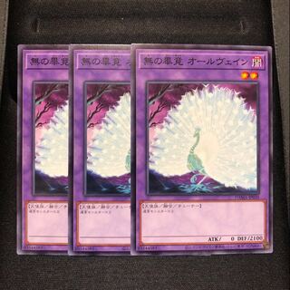 Allvain the Essence of Vanity Normal 3 sheets Mahoko .